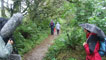 Derek and Becky walking through the woods