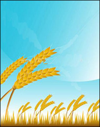 د غلې په تمه