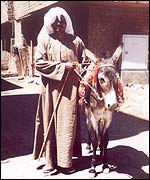 Is this your donkey, Morris?