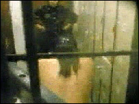 Băng video cáo buộc có việc dùng nhục hình với tội nhân