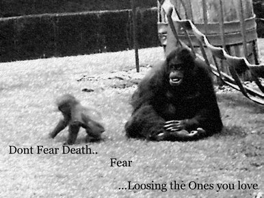 Dont fear death