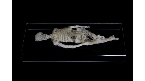 'Ser e Nada' (Foto: Paul Hazelton/RareArt/Divulgação)