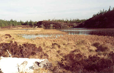 Lough Anlaban, Co Fermanagh