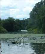 View of Coombe Abbey Park 