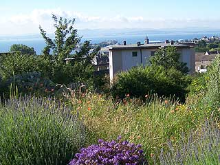 Burntisland landscape