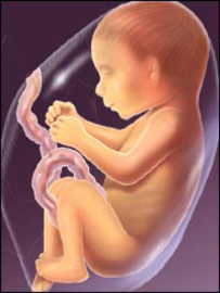 ماشوم د مور په رحم کې