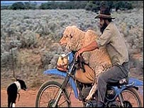 The Benson's 'Backpack' cover