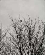 The Andes in South America