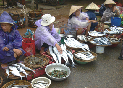 Ảnh bán cá ở chợ