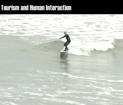 Tourism and Human Interaction clip