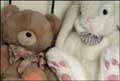 Teddy Bears