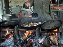 تنوع در غذا