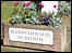 Hampsthwaite in bloom