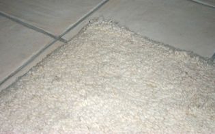 Carpet