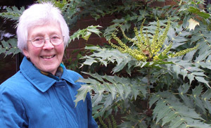 Dr Margaret Lloyd and her Mahonia x media 'Charity'