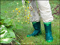 A gardener