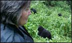 Clare Short and gorillas