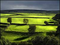 Nidderdale in September