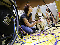 Gravação do coral de cães (Foto: Locws Internacional/Divulgação)