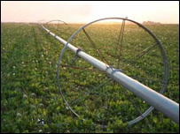 آبياری قطره يی