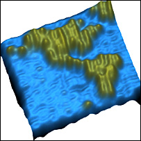 Mapa das Américas formado pela junção de pedaços de moléculas de DNA (Imagem: P Rothemund)