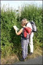 Ramblers looking at a map