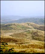 The wall dividing North and South Korea