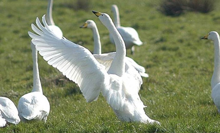 BBC Radio Foyle - Breathing Places Gallery
