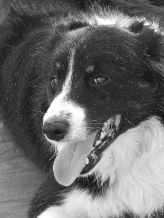 Moto, on Bayble beach, Lewis