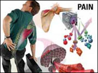 نزديکی مهره های کمر