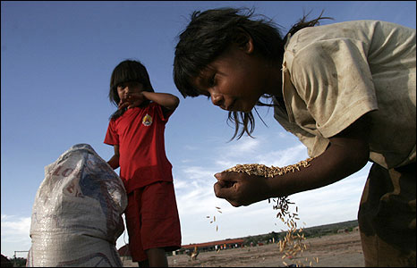 Pirinç ve çocuklar