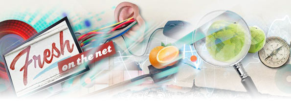 Fresh On The Net logo