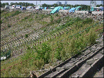 Sân vận động đầy cỏ dại (ảnh Ngô Văn Tưởng)