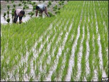 Giá thực phẩm tăng đã làm ảnh hưởng lớn tới lạm phát nói chung