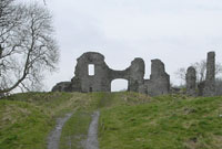 Castell tref Castell Newydd Emlyn