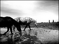 depths of spring jmaes thomson