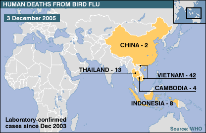 Lidské oběti ptačí chřipky