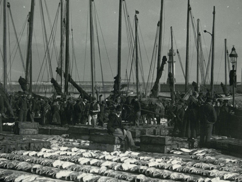 Lines of large fish are displayed for sale on the ground. Various people stand around, with a line of fishing boats and the harbour lighthouse behind.
