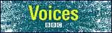 Voices in Leicester