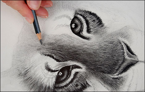 Greg Harris draws a lion