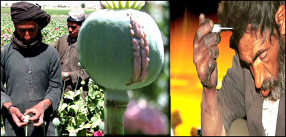 نشه يي توکي