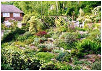 banks with low -growing ground-covering plants 