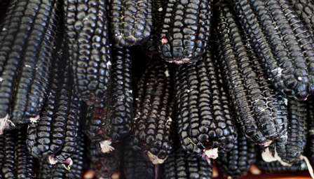 Black corn