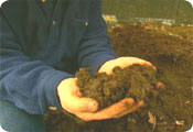 Organic manure