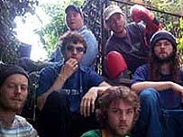 The Bees