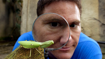 Presenter steve backshall studies a preying mantis