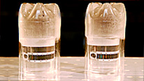 Strip thermometers showing different temperatures