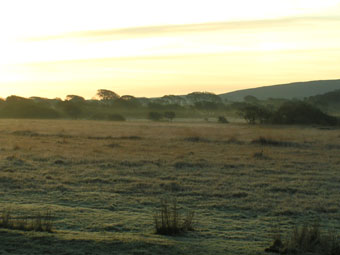 'Broad Pool' ar fore niwlog gan Angharad Wooldridge