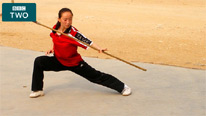 girl at kung fu academy
