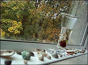 عکس از رباب خسروی